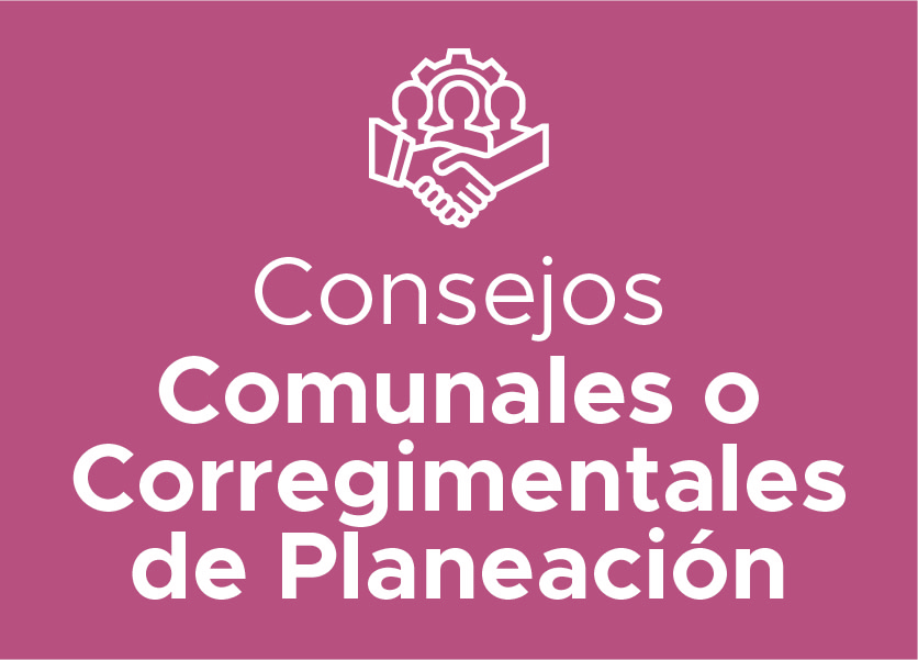 Consejos Comunales o Corregimentales de Planeación